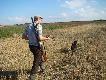 Dumna i blada, bo znalaz�a i dodusi�a zbarczon� kaczk� w g�stwinie. 