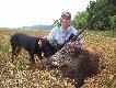   ---   8   --- dziczek (wycinek) w tym sezonie...Waga 60 kg....