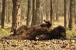 to musia� byc niez�y dowcip...  :-D