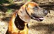 AKRON z G�ry Zamkowej w Maciejowcu