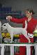 IMBIR Mysia Zag�ada FCI