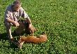 Rogacz Zdzisawa
....Dzisiaj rano, przyjaciel mojego Koa i mj, co jest oczywiste , wybra si na kozioka.Trzeba by ulubiecem sw,Huberta aby za pierwszym  wyjazdem strzeli  taki okaz. 