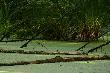 Bagno wci�ga.