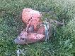 Wida�, �e zima by�a ci�ka, u nas w kole wysyp szydlarzy, jeden z nich na zdj�ciu
