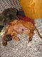 Nie ma to jak wygodnie si� po�o�y� :))