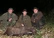 Wycinek strzelony przez koleg� Dawida na �ciernisku podczas nocnego podchodu. Ekipa mocna ,wi�c by�o komu ci�gn�� :-
)