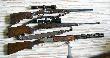 Moja bro
Moja bro. Od gry: 
1.Dryling Sauer&Sohn 8x57 IRS, 16/70, luneta KAHLES CSX 2,5-10x50,
2. Mannlicher Classic .308W, luneta ZEISS Victory Varipoint 3-12x56
3. Bettinsoli Diamond de lux 12/76  