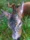 sierpie� 2010 wyszed� po raz ostatni po deszczu