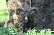 ZOO Wroc�aw 09.2010