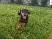 Ma�y sisiak:)