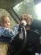 Terenowe auto i pies my�liwski to co potrzebne jest my�liwemu-  nawet Ja� to ju� wie;)