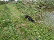 pierwsze prawdziwe aporty z wody