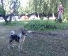 Moje pierwsze spotkanie z przes�awnym KOL� i oczywi�cie nie mniej s�awnym Kociskiem.Na drugom planie "m�ody kotek",czyli Przemek.Wygrzeba�em z archiwum...