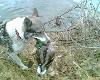 W przyp�ywie dobrego humoru , a mo�e z nud�w:):):)?, jednak wyni�s�!!!!