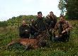 Ca�a ekipa po �ci�gni�ciu byka ju� pod samoch�d. Gdyby nie ci�gnik, to by�my go wyci�gali z trzcin ca�y dzie�.
