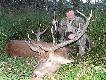Rykowisko 2010. 
20.wrze�nia.2010 r. �wi�ty Hubert by� �askawy dla mojego Taty. Wystawiaj�c mu na strza� tego oto byka. (Dwunastak nieregularny). 