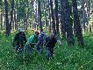 �ci�ganie byka. Zwykle ci�gnikiem, koniem albo... czterema...