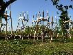 Taki ma�y hurcik :-) Co sezon stawiamy kilka ambon, wymalowanych, osadzonych na betonowych s�upach.