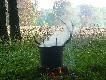 W tym lesie wojowa�, wsta�em o 5 rano i poszed�em po niego na pieszo...