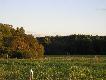 Dzisiejsze 30.09.2010r.wsp�lne polowanie z Basior 1. Kolega Basior1 podchodzi byka,kt�ry �eruje na ��ce.Okaza�o sie,�e za rogiem krzak�w jest ca�a chmara jeleni z jeszcz� �adniejszym bykiem.