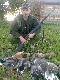 Zdj�� gumiaki, wypi� piwko-chcia�oby si�. Bo ch�tnych do obielania i skubania brak  wi�c do roboty!
