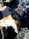 co� mu do g�owy wpad�o hehehe, nie by� to m�j najdalszy strza� ale nie wiele brakowa�o.
