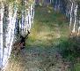 Hans z�o�y� si� do strza�u ale odpu�ci� nie by� pewien gdzie ja jestem.Darz B�r