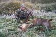 Dzisiejsze Poranne �owy. Druga �ania w obecnym sezonie. Waga 71 Kg. I trzeci lisek w sezonie. Darz B�r Darek.