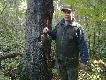 Jarz�bek zapad� w�a�nie na ten �wierk. Jarz�bka widac s�abo, ale szcz�liwy �owca te� mo�e wyst�pic w galerii ;)) 