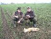 Z Becazem wn i zd�awion� przez Ar� liszk�.Szwagier przepraszam... ;)))