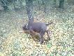 Pierwsze kroki w m�odniku
