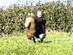 Najwi�kszy spo�r�d wszystkich strzelonych przeze mnie jenot�w.20.10.2010.Waga troch� ponad 9 kg. Samotny pies.