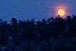 Pe�nia i ambona. I jedno i drugie pomog�o mi strzeli� dzika:-)