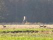 �adnie si� prezentowa�y ;)