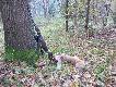 Zbior�wka w K.�. "�o�" Mr�gowo. Strzelaj�c lisa zosta�em kr�lem polowania...