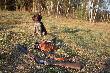 �pi�ca kr�lewna i nasze koguty !