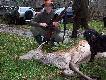Strza��w by�o mn�stwo,ale pokot taki jaki wida� na zdj�ciu........