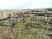 3 AMBONY ZNOWU POLEG�Y BRAK MI JU� SI�