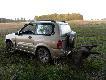 wcze�niejszy odyniec...