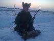styczniowe polowanie z varmintem i predatorem na liski...:) ju� nied�ugo...