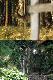 Inny miesi�c  i inne miejsce,  ale byk ten sam