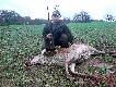 Polowanie Hubertowski 2010. Moja pierwsza w �yciu �ania (83 kg) strzelona w drugim miocie. Koniec dnia oraz koniec polowania zaowocowa� dwoma �aniami i dwoma dzikami na moim ko�cie daj�c mi v-ce kr�la. Dzi�ki Ci �w. Hubercie