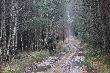Kol. Jarek na stanowisku. P�dzony miot zosta� w zesz�ym roku nazwany jego imieniem. 