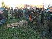 Pi�kny pokot. 8 lis�w w trzech p�dzeniach