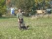 wsp�lne polowanie na pi�ro