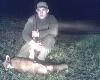 (8) Darz b�r

