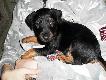 Nowy cz�onek rodziny :)