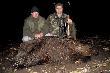 Jubileuszowy (10)dzik w tym sezonie.Waga 68kg w skupie,typowy kukurydziak,ale ju� �adnie karpiowaty.Dobrze,�e kol.Andrzej jeszcze nie spa� i mog�em liczy� na jego pomoc przy za�adunku.