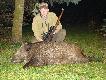21.11.2010 dziewi�ty dzik tego sezonu - przelatek strzelony z podchodu na lesie. Znaleziony dzi�ki pomocy mojego psa Arona.