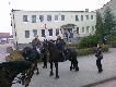 Mia�em dzisiaj wyb�r: polowanie zbiorowe lub wyjazd na wybory samorz�dowe konno. Wybra�em konie ;-)